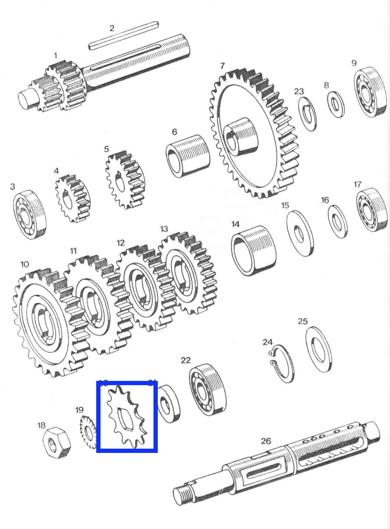 Gear front 13 APN (207130)