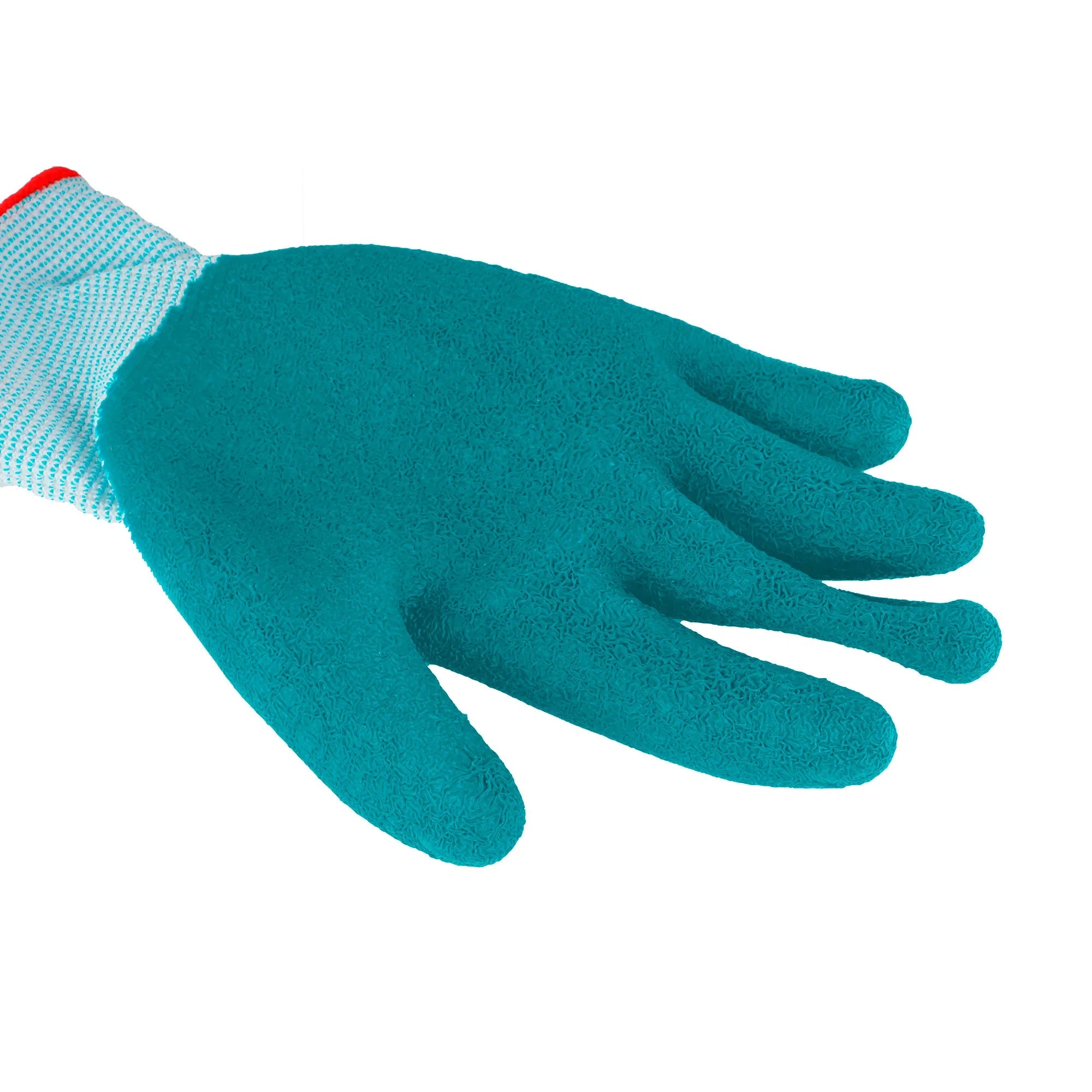 Latex Gloves 103 XL (TSP13103) TOTAL